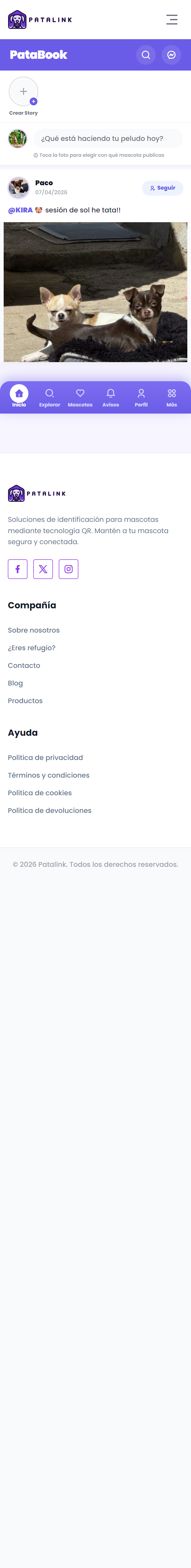 Perfil social de Max en Patabook